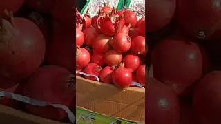 fresh pomegranates #shorts #shortsvideo #shortvideo #ytreels #ytshort #ytshortsindia #freshfruits