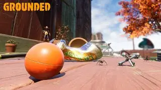 Grounded (Blind - Part 22)
