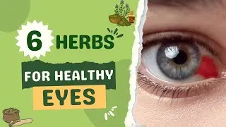 6 Herbs for Healthy Eyes: A Natural Approach to Eye Health