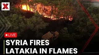 Syria wildfires LIVE: Massive Wildfires Burn Through Syria&rsquo;s Latakia Forests Amid Heat | NewsX World