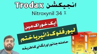 Inj Trodax - Nitroxynil For Liver Fluke Chronic Diarrhea | Meetha Zehar gilar Ka Ilaj Kaisay Karain