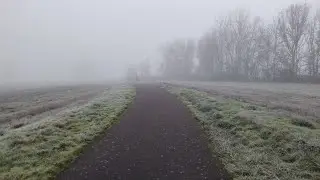 Quiet Morning Solo Walk Through Fog and Forest Paths