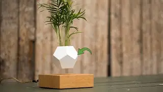 Elevate Your Space with the Lyfe Planter: A Complete Review