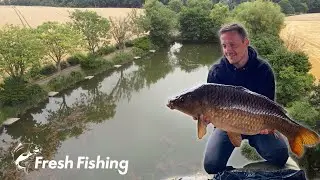Прекрасный тёмный карп от Southfield Fisheries | Ловля карпа