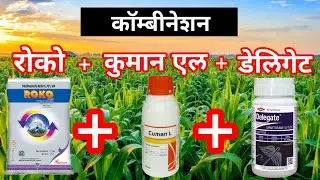 Roko fungicide/cuman l/delegate