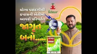 હવેથી કપાસની તડાખા જાત (KSCH-207 BGII) નામથી જ મળશે અફવાઓથી ભરમાશો નહિ  ખેડૂત સેવા