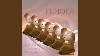 Echoes