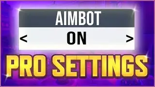 The Settings of a PRO Top 500 Overwatch 2 Player