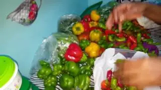 DAAWO SIDA ESAN KAGA HALABIN QUDARTA