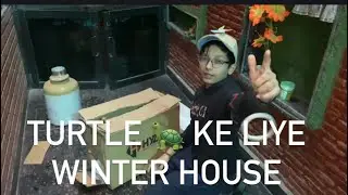 Maine Apni Turtle Ke Liye Winter House Banaya 🐢❄️ | Turtle Care in Winters | Moreya Vlogs