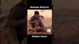 Traditional African Medicine Explained by Kalahari Bushmen