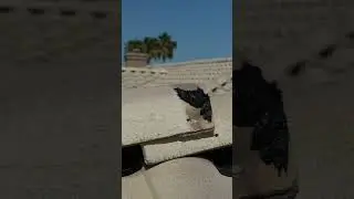 Protect Your Roof With Proper Tile Sealing