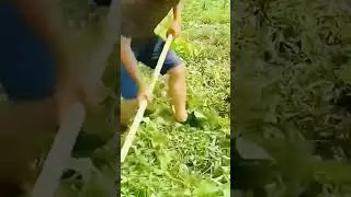 cool farming tool for cutting weeds in the garden #shorts
