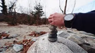 Treehut Watch