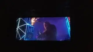 Godzilla vs kong theatre reaction