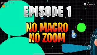 БЕЗ МАКРО + БЕЗ ЗУМ-ВЫЗОВА AGARIO