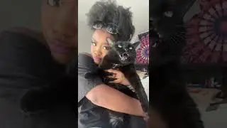 Cat Talking