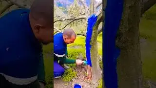 final part applying blitox on apple tree #minivlog #minivlogs #apple #villagelife #blitox #mini