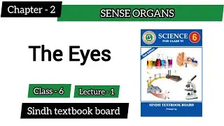 Sense Organs &ndash; The Eye | class 6 |Chapter 2 Lecture 1 | Sindh Textbook