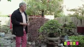 Comment faire un bonsa&iuml; ? Cr&eacute;er un bonsa&iuml; soi-m&ecirc;me