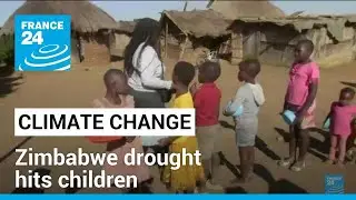 'Crying from hunger': Zimbabwe drought hits children &bull; FRANCE 24 English