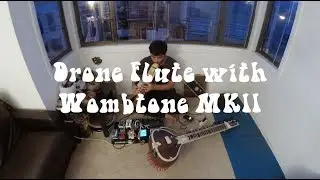 Wombflute - Wombtone MKII Phaser with Native American Drone Flute and Beats (Chase Bliss Audio)