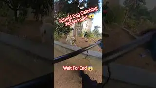 Chinese Dog Catcher Fails #fail #ytviral #pets