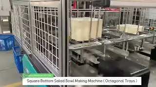 High Quality Paper Takeout Box Square Bottom Salad Bowl Making Machine ( Octagonal Trays )