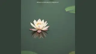 Compassion for All Beings