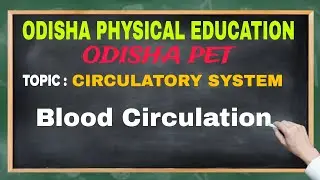 Circulatory System || Blood Circulation  || Physical Education || Sports Darbar