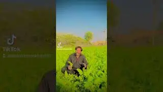 Channelo like subscribe karo #newsong #music #song