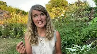 Unravelling Neal's Yard Remedies with Tipper | How Organic Evolved 2020's | Neal's Yard Remedies