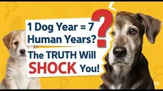 1 Dog Year = 7 Human Years? The TRUTH Will SHOCK You!