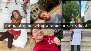 The Reality of Being a Mom in Vet School