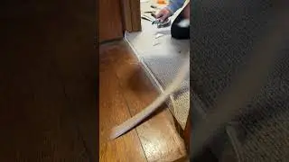 Carpet Installation on Transition Strip#tips #carpet #carpetinstallation #howto #transition strip