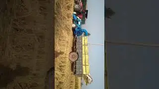Paddy chopper