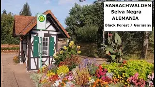 SASBACHWALDEN Walking tour. near Baden-Baden Selva Negra Alemania.Black Forest Germany. Schwarzwald