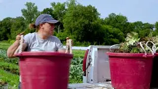 Illinois Made | Three Rivers Community Farm