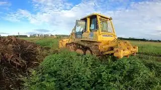 BULLDOZER Ripping Roots and stumps