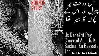 OCS 316. Us Darakht Par Churrail Aur Us K Bachon Ka Basera Tha