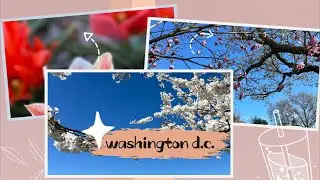 washington d.c. | travel diaries ep.11