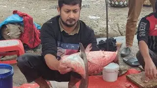Never Seen,