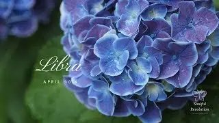 The bonding will be FAST & INTENSE, LIBRA April 2019