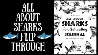All About Sharks Flip Through By Sarah Janisse Brown ~ The Thinking Tree