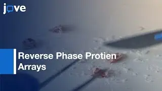 Reverse Phase Protein Arrays: Protein Expression | Protocol Preview