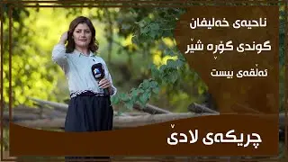 CHRIKAI LADE - ALQAY - 20 - GUNDI GORA SHER | چریكه‌ی لادێ - ئه‌ڵقه‌ی - ٢٠ - گوندی گۆڕه‌ شێر