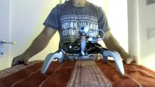 QuadrupedXX PID control