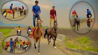બે ઘોડી ને ભેગી કરી અને બેય ને ઊભા ઊભા હાય્કી 😱 | Horse riding |