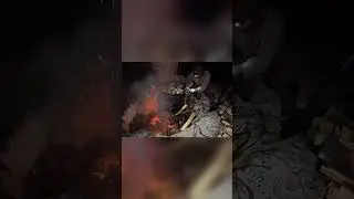 Drying out the Charcoal Kiln in Alaskan Winter #viral #survival #outdoors