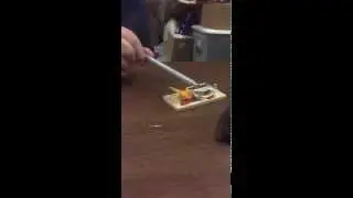 Slow motion mouse trap